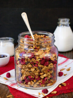 Raspberry Chocolate Chip Granola Picture