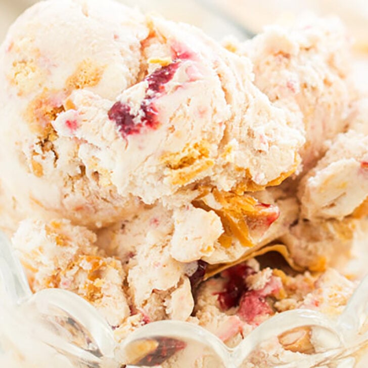 No Churn Peanut Butter & Jelly Ice Cream Photo