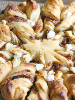 Prosciutto, Fig and Goat Cheese Star Bread Photo