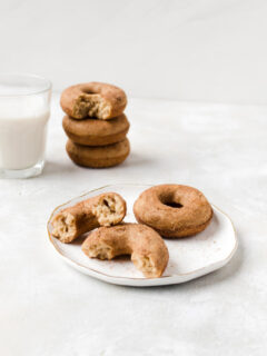 Baked Churro Doughnuts Pic