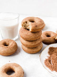 Baked Churro Doughnuts Picture