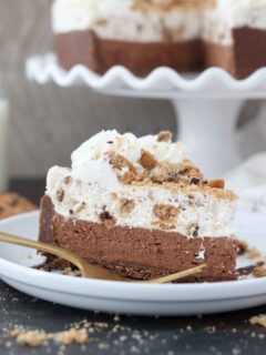 Chocolate Chip Mousse Cake Picture