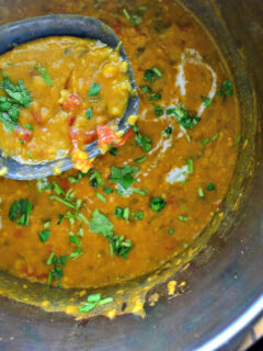 Instant Pot Coconut Curry Lentil Tomato Soup Image