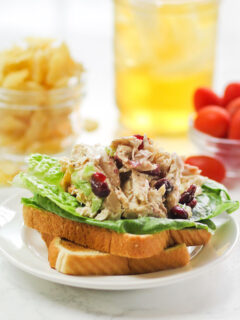 Lighter Chicken Salad Pic