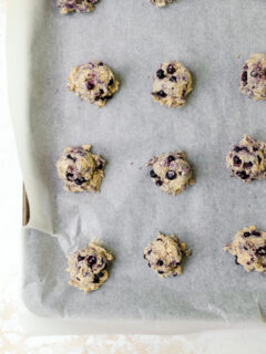 Blueberry Oatmeal Cookies Picture