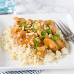 Chicken Satay Stir Fry Photo