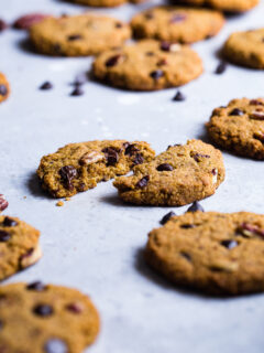 Keto Pumpkin Chocolate Chip Cookies Pic