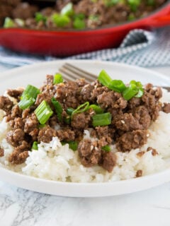 Ground Mongolian Beef Photo