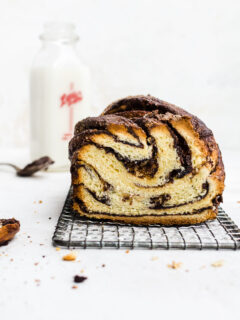 Chocolate Cookie Butter Babka Picture