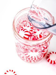 Homemade Peppermint Vodka Image