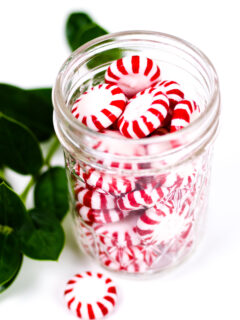 Homemade Peppermint Vodka Picture