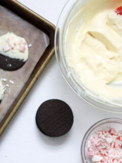 Homemade Williams-Sonoma Peppermint Bark Cookies Image