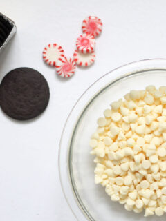 Homemade Williams-Sonoma Peppermint Bark Cookies Picture