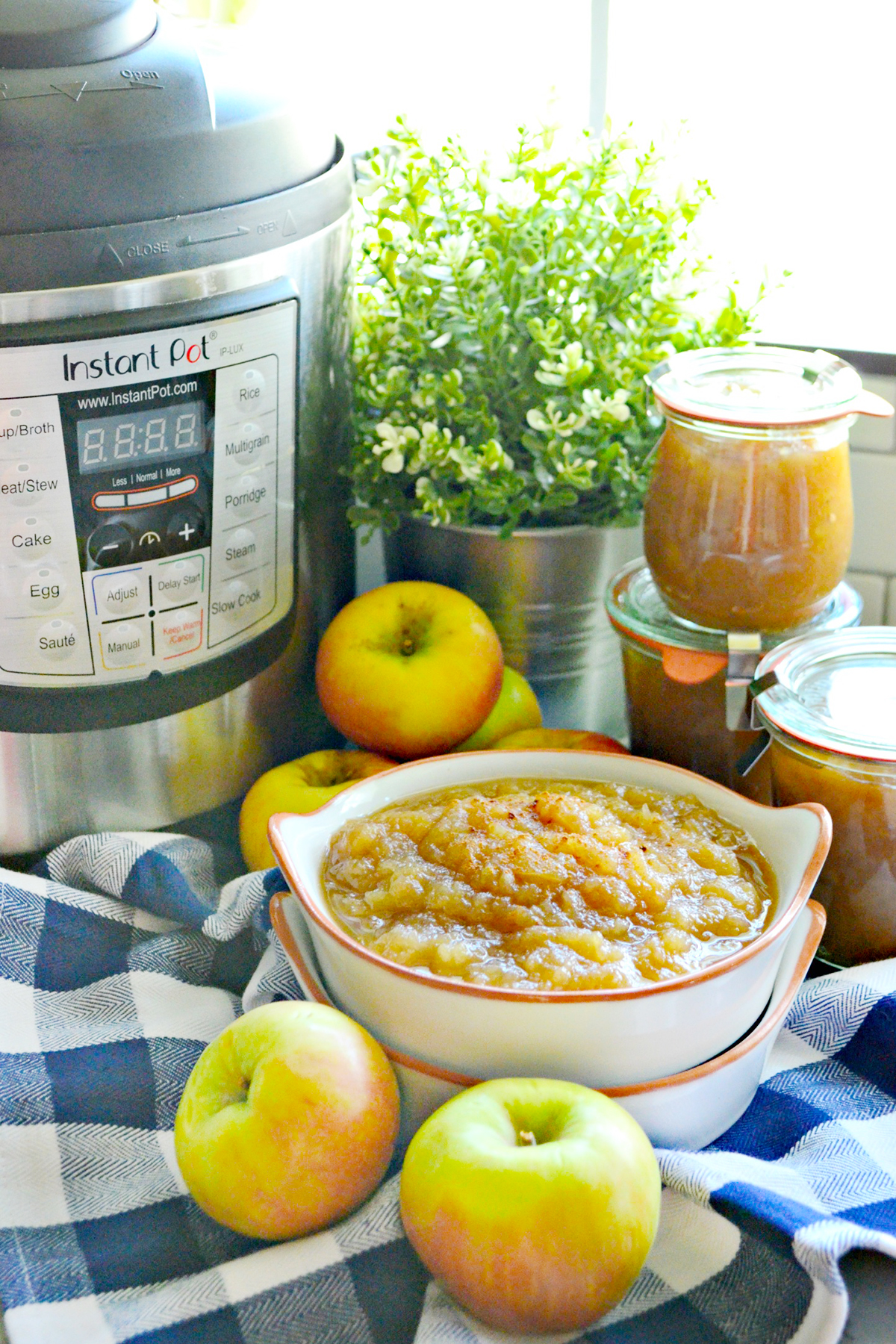 Applesauce Egg Substitute Food Fanatic the-sugar-scare-how-to-replace-sugar-with-healthier-sugar-alternatives