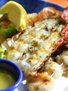Lobster Image
