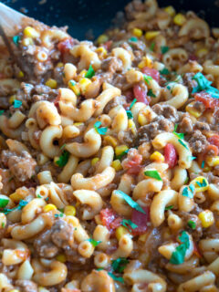 Mexican Goulash Picture