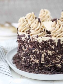 Chocolate Mocha Cake Image