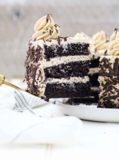 Chocolate Mocha Cake Picture