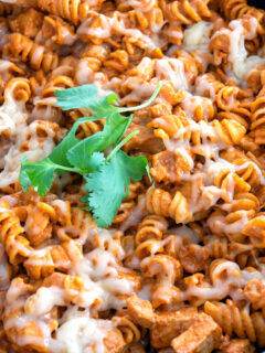 Enchilada Pasta Picture