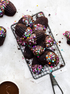 Chocolate Madeleines Image