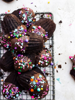 Chocolate Madeleines Pic
