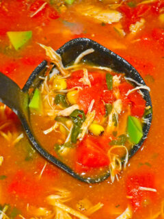 Mexican Chicken Soup Picture