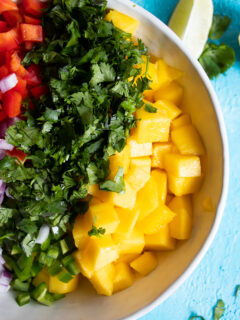Mango Salsa Picture