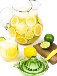 Margarita Sangria Picture