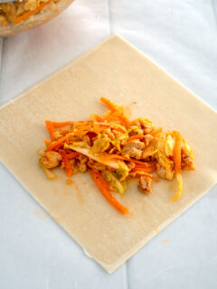 Buffalo Chicken Egg Rolls Picture