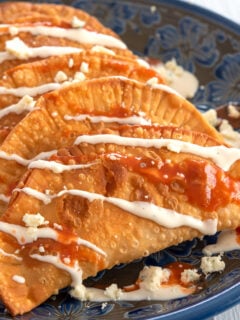 Buffalo Chicken Empanadas Photo