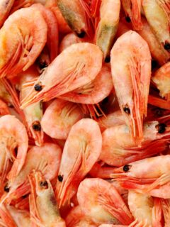 Shrimp picture
