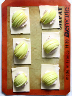 Apple Cinnamon Danish Pastry Picture