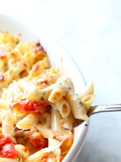 Cheesy Tomato Pasta Bake Pic