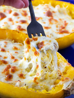 Chicken Alfredo Stuffed Spaghetti Squash Picture