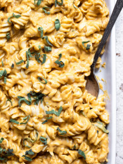 Creamy Pumpkin Pasta Sauce Pic