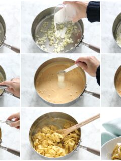 Creamy Pumpkin Tortellini Image