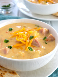 Ham and Cheese Soup Image