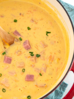 Ham and Cheese Soup Picture