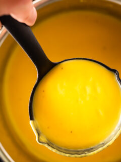 Instant Pot Butternut Squash Soup Picture