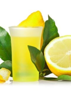 Limoncello Photo