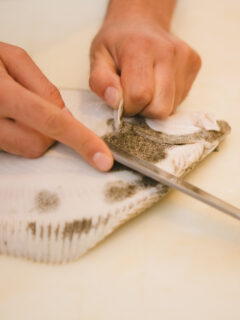 Baked Flounder Image