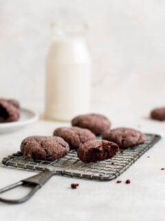 Chocolate Sugar Cookies Photo