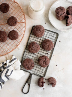 Chocolate Sugar Cookies Pic