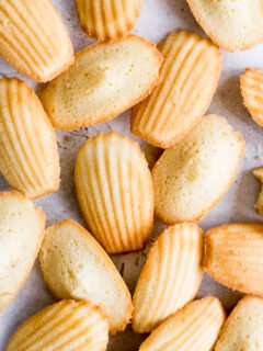 Classic French Madeleines Image
