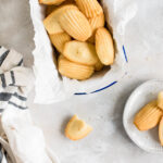 Classic French Madeleines Photo