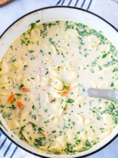 Creamy Chicken Tortellini Soup Picture