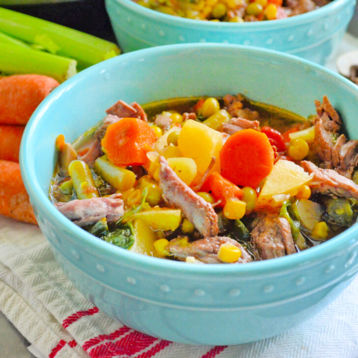Instant Pot Vegetable Beef Soup Photo