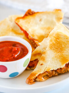 Pizza Quesadilla Pic