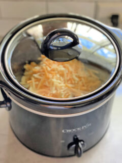 Slow Cooker Chili Cheese Dip Pic