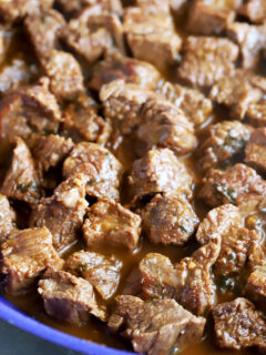 Carne Asada Nachos Picture